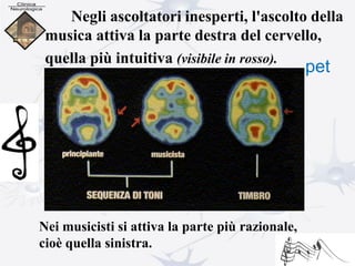 Negli ascoltatori inesperti, l'ascolto della
musica attiva la parte destra del cervello,
quella più intuitiva (visibile in rosso).
Nei musicisti si attiva la parte più razionale,
cioè quella sinistra.
pet
 