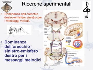 Ricerche sperimentali
• Dominanza dell’orecchio
destro-emisfero sinistro per
i messaggi verbali,
• Dominanza
dell’orecchio
sinistro-emisfero
destro per i
messaggi melodici.
 