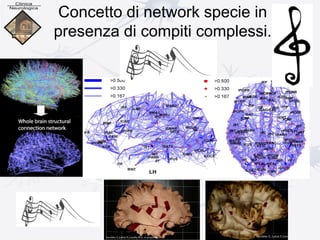 Concetto di network specie in
presenza di compiti complessi.
 