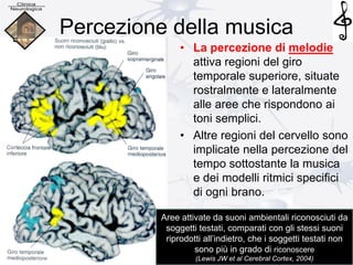 Percezione della musica
• La percezione di melodie
attiva regioni del giro
temporale superiore, situate
rostralmente e lateralmente
alle aree che rispondono ai
toni semplici.
• Altre regioni del cervello sono
implicate nella percezione del
tempo sottostante la musica
e dei modelli ritmici specifici
di ogni brano.
Aree attivate da suoni ambientali riconosciuti da
soggetti testati, comparati con gli stessi suoni
riprodotti all’indietro, che i soggetti testati non
sono più in grado di riconoscere
(Lewis JW et al Cerebral Cortex, 2004)
 