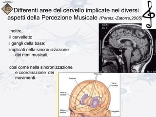 Differenti aree del cervello implicate nei diversi
aspetti della Percezione Musicale (Peretz,-Zatorre,2005).
Inoltre,
il cervelletto
i gangli della base:
implicati nella sincronizzazione
dei ritmi musicali,
cosi come nella sincronizzazione
e coordinazione dei
movimenti.
 