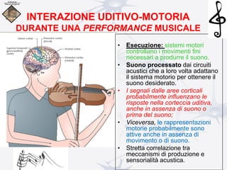 INTERAZIONE UDITIVO-MOTORIA
DURANTE UNA PERFORMANCE MUSICALE
• Esecuzione: sistemi motori
controllano i movimenti fini
necessari a produrre il suono.
• Suono processato dai circuiti
acustici che a loro volta adattano
il sistema motorio per ottenere il
suono desiderato.
• I segnali dalle aree corticali
probabilmente influenzano le
risposte nella corteccia uditiva,
anche in assenza di suono o
prima del suono;
• Viceversa, le rappresentazioni
motorie probabilmente sono
attive anche in assenza di
movimento o di suono.
• Stretta correlazione tra
meccanismi di produzione e
sensorialità acustica.
 