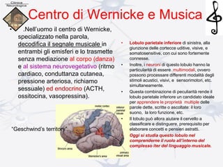 Centro di Wernicke e Musica
• .Nell’uomo il centro di Wernicke,
specializzato nella parola,
decodifica il segnale musicale in
entrambi gli emisferi e lo trasmette
senza mediazione al corpo (danza)
e al sistema neurovegetativo (ritmo
cardiaco, conduttanza cutanea,
pressione arteriosa, richiamo
sessuale) ed endocrino (ACTH,
ossitocina, vasopressina).
“Geschwind’s territory”,
• Lobulo parietale inferiore di sinistra, alla
giunzione delle cortecce uditive, visive, e
somatosensitive, con cui sono fortemente
connesse.
• Inoltre, i neuroni di questo lobulo hanno la
particularità di essere multimodali, ovvero
possono processare differenti modalità degli
stimoli acustici, visivi, e sensorimotori, etc.
simultaneamente.
• Questa combinazione di peculiarità rende il
lobulo parietale inferiore un candidato ideale
per apprendere le proprietà multiple delle
parole dette, scritte o ascoltate: il loro
suono, la loro funzione, etc.
• Il lobulo può allora aiutare il cervello a
classificare e distinguere, prerequisito per
elaborare concetti e pensieri astratti.
• Oggi si studia questo lobulo nel
comprenderne il ruolo all’interno del
complesso iter del linguaggio musicale.
 