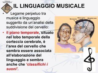 IL LINGUAGGIO MUSICALE
• Legame perpetuo tra
musica e linguaggio
suggerito da un’analisi della
suddivisione del cervello:
• il piano temporale, situato
nel lobo temporale della
corteccia cerebrale, è
l’area del cervello che
sembra essere associata
all’elaborazione del
linguaggio e sembra
anche che ‘classifichi i
suoni’.
 