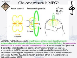 Che cosa misura la MEG?
La MEG e l’EEG si basano sulla registrazione di fenomeni rispettivamente
magnetici ed elettrici generati da uno stesso meccanismo biofisico, la generazione
e conduzione di correnti ioniche a livello intracellulare. Il funzionamento dei “generatori”
di corrente è infatti basato sugli scambi ionici transmembranari nei neuroni.
In conclusione, la MEG misura essenzialmente i Potenziali Postsinaptici (PSP)
intracellulari che viaggiano lungo le arborizzazioni dendritiche di un numero elevato
(almeno da 10.000 a 100.000) di neuroni piramidali attivati in maniera sincrona
(Hämäläinen et al. 1993).
 