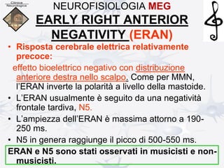 NEUROFISIOLOGIA MEG
EARLY RIGHT ANTERIOR
NEGATIVITY (ERAN)
• Risposta cerebrale elettrica relativamente
precoce:
effetto bioelettrico negativo con distribuzione
anteriore destra nello scalpo. Come per MMN,
l’ERAN inverte la polarità a livello della mastoide.
• L’ERAN usualmente è seguito da una negatività
frontale tardiva, N5.
• L’ampiezza dell’ERAN è massima attorno a 190-
250 ms.
• N5 in genera raggiunge il picco di 500-550 ms.
ERAN e N5 sono stati osservati in musicisti e non-
musicisti.
 