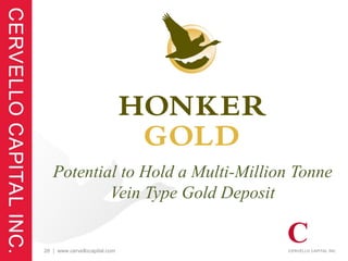 Potential to Hold a Multi-Million Tonne
           Vein Type Gold Deposit


26 | www.cervellocapital.com
 