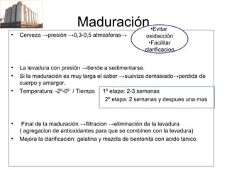 Maduración
• Cerveza →presión →0,3-0,5 atmosferas→ elll
• La levadura con presión →tiende a sedimentarse.
• Si la maduración es muy larga el sabor →suaviza demasiado→perdida de
cuerpo y amargor.
• Temperatura: -2º-0º / Tiempo 1º etapa: 2-3 semanas
2º etapa: 2 semanas y despues una mas
• Final de la maduración →filtracion →eliminación de la levadura
( agregacion de antioxidantes para que se combinen con la levadura)
• Mejora la clarificación: gelatina y mezcla de bentonita con acido tanico.
•Evitar
oxidacción
•Facilitar
clarificacion
 