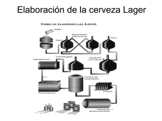 Elaboración de la cerveza Lager
 