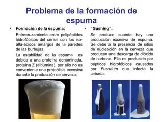 Problema de la formación de
espuma
• Formación de la espuma:
Entrecruzamiento entre polipéptidos
hidrofóbicos del cereal con los iso-
alfa-ácidos amargos de la paredes
de las burbujas.
La estabilidad de la espuma es
debida a una proteína denominada,
proteína Z (albúmina), por ello no es
conveniente una proteólisis excesiva
durante la producción de cerveza.
• “Gushing”:
Se produce cuando hay una
producción excesiva de espuma.
Se debe a la presencia de sitios
de nucleación en la cerveza que
producen una descarga de dióxido
de carbono. Ello es producido por
péptidos hidrofóbicos causados
por Fusarium que infecta la
cebada.
 