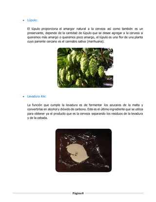 Página8
 Lúpulo:
El lúpulo proporciona el amargor natural a la cerveza así como también es un
preservante, depende de la cantidad de lúpulo que se desee agregar a la cerveza si
queremos más amargo o queremos poco amargo, el lúpulo es una flor de una planta
cuyo pariente cercano es el cannabis sativa (marihuana).
 Levadura Ale:
La función que cumple la levadura es de fermentar los azucares de la malta y
convertirlas en alcohol y dióxido de carbono. Este es el último ingrediente que se utiliza
para obtener ya el producto que es la cerveza separando los residuos de la levadura
y de la cebada.
 