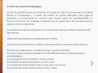 3.3 Plan de control microbiológico
Incluye la periódica toma de muestras a lo largo de todo el proceso para su análisis
directo al microscopio y a través de medios de cultivo adecuados para lograr la
detección y el crecimiento de colonias que muchas veces no son observables en
fresco y en directo. Sin embargo la experiencia nos puede dar a los cerveceros pistas
seguras como las siguientes:
Una coloración roja con sedimento en el mosto cultivado será debida a bacterias del
tipo thermo.
Sedimentos granulados son producidos por mohos.
Una película sin sedimento se deberá a levaduras Kahn o bacterias ácido-acéticas.
Películas con sedimentos, a levadura salvaje o bacterias thermo
El aroma u olor nos guiará también en la identificación de las contaminaciones
microbiológicas:
a) Las levaduras Khan producen un olor a frutas
b) Las bacterias thermo producen un olor a apio
c) Las bacterias ácido-acéticas dan un olor acre a la cerveza
d) Las bacterias ácido-butíricas dan un olor a sudor
 