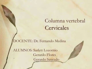 Columna vertebral
Cervicales
DOCENTE: Dr. Fernando Medina
ALUMNOS: Sarlett Lozornio
Gerardo Flores
´ Gerardo Saucedo
 