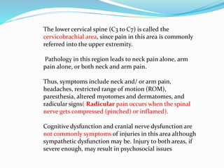 There are 14 facet (apophyseal) joints in the cervical spine (C1 to
C7). The upper four facet joints in the two upper thor...