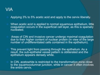 VIA
 Applying 3% to 5% acetic acid and apply to the cervix liberally.
 When acetic acid is applied to normal squamous epithelium, little
coagulation occurs in the superficial cell layer, as this is sparsely
nucleated.
 Areas of CIN and invasive cancer undergo maximal coagulation
due to their higher content of nuclear protein (in view of the large
number of undifferentiated cells contained in the epithelium).
 This prevent light from passing through the epithelium. As a
result, the sub-epithelial vessel pattern is obliterated and the
epithelium appears densely white.
 In CIN, acetowhite is restricted to the transformation zone close
to the squamocolumnar junction, while in cancer it often involves
the entire cervix.
 