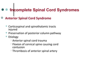 Incomplete Spinal Cord Syndromes
 Anterior Spinal Cord Syndrome
 Corticospinal and spinothalamic tracts
injured
 Preservation of posterior column pathway
 Etiology
Anterior spinal cord trauma
Flexion of cervical spine causing cord
contusion
Thrombosis of anterior spinal artery
 