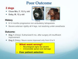 Cervical arthroplasty a non fusion technique for daws in dogs - power ...