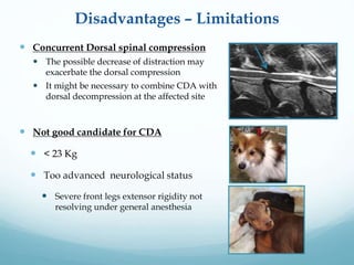 Cervical arthroplasty a non fusion technique for daws in dogs - power ...