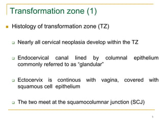 Cervical Cancer-1.pdf...................... | PDF