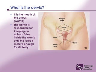 What is the cervix?It is the mouth of the uterus (womb)The cervix is responsible for keeping an unborn fetus inside the womb until the fetus is mature enough for delivery. 