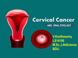Cervical cancer
v.Kanthasamy
LS14106
AND VIRAL ETIOLOGY
V.Kanthasamy
LS14106
M.Sc.,LifeScience
BDU.
 