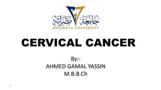 By:-
AHMED GAMAL YASSIN
M.B.B.Ch
1
CERVICAL CANCER
 