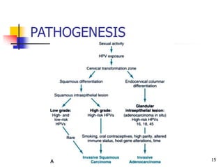 15
PATHOGENESIS
 