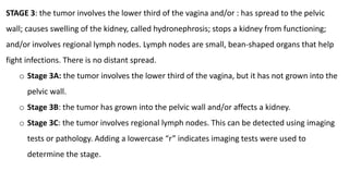 STAGE 3: the tumor involves the lower third of the vagina and/or : has spread to the pelvic
wall; causes swelling of the kidney, called hydronephrosis; stops a kidney from functioning;
and/or involves regional lymph nodes. Lymph nodes are small, bean-shaped organs that help
fight infections. There is no distant spread.
o Stage 3A: the tumor involves the lower third of the vagina, but it has not grown into the
pelvic wall.
o Stage 3B: the tumor has grown into the pelvic wall and/or affects a kidney.
o Stage 3C: the tumor involves regional lymph nodes. This can be detected using imaging
tests or pathology. Adding a lowercase “r” indicates imaging tests were used to
determine the stage.
 