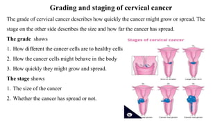 Grading and staging of cervical cancer
The grade of cervical cancer describes how quickly the cancer might grow or spread. The
stage on the other side describes the size and how far the cancer has spread.
The grade shows
1. How different the cancer cells are to healthy cells
2. How the cancer cells might behave in the body
3. How quickly they might grow and spread.
The stage shows
1. The size of the cancer
2. Whether the cancer has spread or not.
 