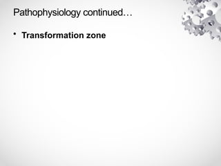 Pathophysiology continued…
• Transformation zone
 