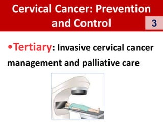 Cervical Cancer: Prevention
and Control
•Tertiary: Invasive cervical cancer
management and palliative care
3
 