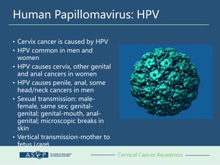 Human Papillomavirus: HPV
• Cervix cancer is caused by HPV
• HPV common in men and
women
• HPV causes cervix, other genital
and anal cancers in women
• HPV causes penile, anal, some
head/neck cancers in men
• Sexual transmission: male-
female, same sex; genital-
genital; genital-mouth, anal-
genital; microscopic breaks in
skin
• Vertical transmission-mother to
fetus (rare)
 