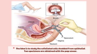  The Idea is to study the exfoliated cells shedded From epithelial
Two specimens are obtained with the pap smear.
 