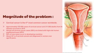 Magnitude of the problem :
 Cervical cancer is the 4rd most common cancer worldwide.
 Approximately 570 000 cases of cervical cancer and 311 000 deaths from the
disease occurred in 2018
 Almost all cervical cancer cases (99%) are linked with high-risk human
papillomaviruses (HPV)
 80% of new cases occur in developing countries
 About 20 % of cervical cancers are diagnosed in women over
age 65 years.
 