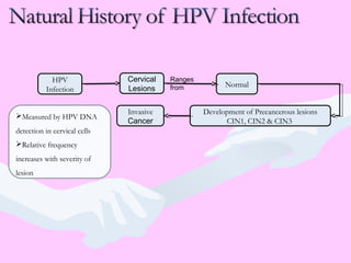 HPV
Infection
Cervical
Lesions
Normal
Development of Precancerous lesions
CIN1, CIN2 & CIN3
Invasive
Cancer
Ranges
from
Measured by HPV DNA
detection in cervical cells
Relative frequency
increases with severity of
lesion
 