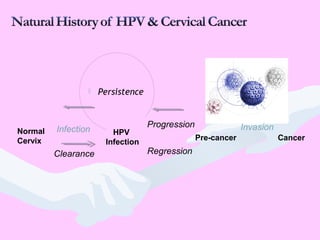 Normal
Cervix
HPV
Infection
Pre-cancer Cancer
Infection
Progression Invasion
RegressionClearance
 Persistence
 
