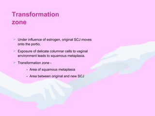 Transformation
zone
 Under influence of estrogen, original SCJ moves
onto the portio.
 Exposure of delicate columnar cells to vaginal
environment leads to squamous metaplasia.
 Transformation zone -
- Area of squamous metaplasia
- Area between original and new SCJ
 