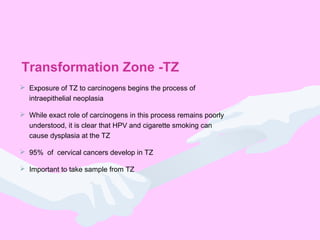 Transformation Zone -TZ
 Exposure of TZ to carcinogens begins the process of
intraepithelial neoplasia
 While exact role of carcinogens in this process remains poorly
understood, it is clear that HPV and cigarette smoking can
cause dysplasia at the TZ
 95% of cervical cancers develop in TZ
 Important to take sample from TZ
 