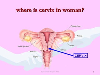 5
where is cervix in woman?where is cervix in woman?
Educational Program 2015 5
CERVIX
 