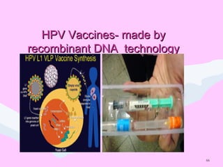 66
HPV Vaccines- made byHPV Vaccines- made by
recombinant DNA technologyrecombinant DNA technology
 
