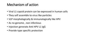 Mechanism of action
• Viral L1 capsid protein can be expressed in human cells
• They self assemble to virus like particles
• VLP morphologically & immunologically like HPV
• As no genome , non infectious
• Injection generate Anti HPV L1 IgG
• Provide type specific protection
 