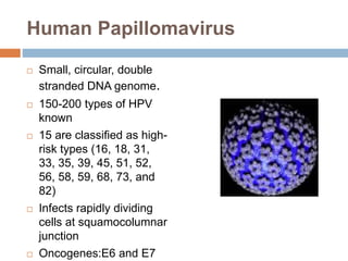Human Papillomavirus
 Small, circular, double
stranded DNA genome.
 150-200 types of HPV
known
 15 are classified as high-
risk types (16, 18, 31,
33, 35, 39, 45, 51, 52,
56, 58, 59, 68, 73, and
82)
 Infects rapidly dividing
cells at squamocolumnar
junction
 Oncogenes:E6 and E7
 