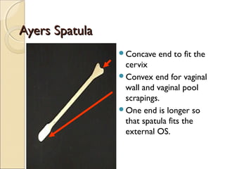 AAyyeerrss SSppaattuullaa 
Concave end to fit the 
cervix 
Convex end for vaginal 
wall and vaginal pool 
scrapings. 
One end is longer so 
that spatula fits the 
external OS. 
 