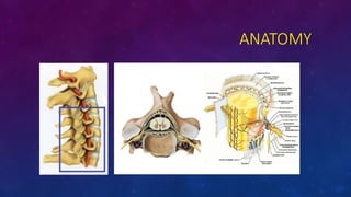 ANATOMY
 