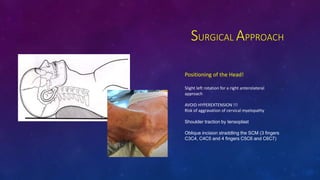 SURGICAL APPROACH
Positioning of the Head!
Slight left rotation for a right anterolateral
approach
AVOID HYPEREXTENSION !!!
Risk of aggravation of cervical myelopathy
Shoulder traction by tensoplast
Oblique incision straddling the SCM (3 fingers
C3C4, C4C5 and 4 fingers C5C6 and C6C7)
 