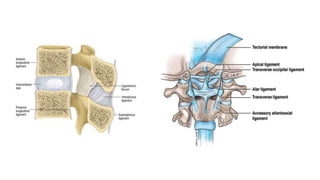 Overview of Cervical Disc Herniation.pptx