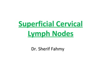 Superficial Cervical
Lymph Nodes
Dr. Sherif Fahmy
 
