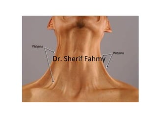 Dr. Sherif Fahmy
 