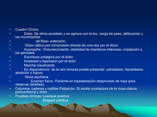 • Cuadro Clínico
• Dolor. Se alivia acostado y se agrava con la tos, carga de peso, defecación y
los movimientos
• de flexo- extensión .
• Dolor ciático por compresión directa de una raíz por el disco
• Acompaña : Entumecimiento- debilidad de miembros inferiores- irradiación a
los genitales
• Escoliosis antalgica por el dolor.
• Ansiedad y depresión por el dolor
• Marcha claudicante
• En dependencia de la raíz tomada puede presentar: parestesia- hipoestesia-
abolición o hipore
• flexia aquiliana.
• Examen físico. Paciente en bipedestación desprovisto de ropa para
observar detallada
• Columna- caderas y rodillas Palpación. Si existe contractura de la musculatura
paravertebral y dolor
• Pruebas clínicas: Laseque positiva
• Bragard positiva
 