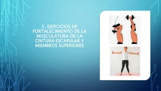 5. EJERCICIOS DE
FORTALECIMIENTO DE LA
MUSCULATURA DE LA
CINTURA ESCAPULAR Y
MIEMBROS SUPERIORES
 